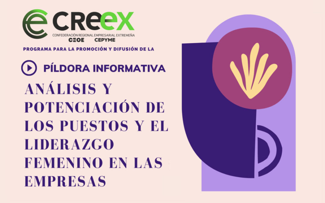 Creex - Píldora informativa